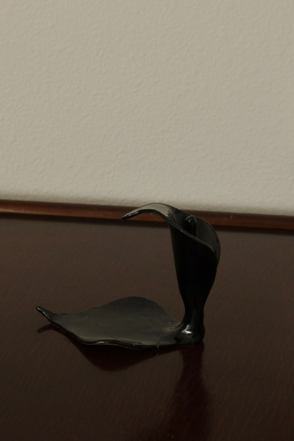 Calla Lily Catchall