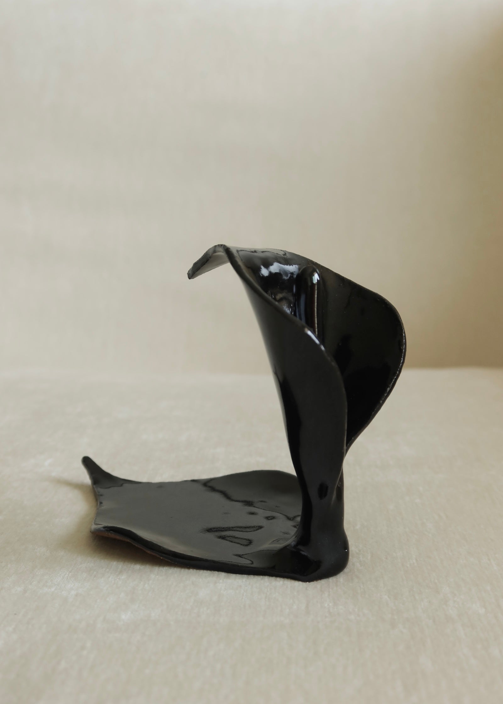 Calla Lily Catchall