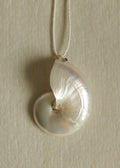 Nautilus Silk Necklace