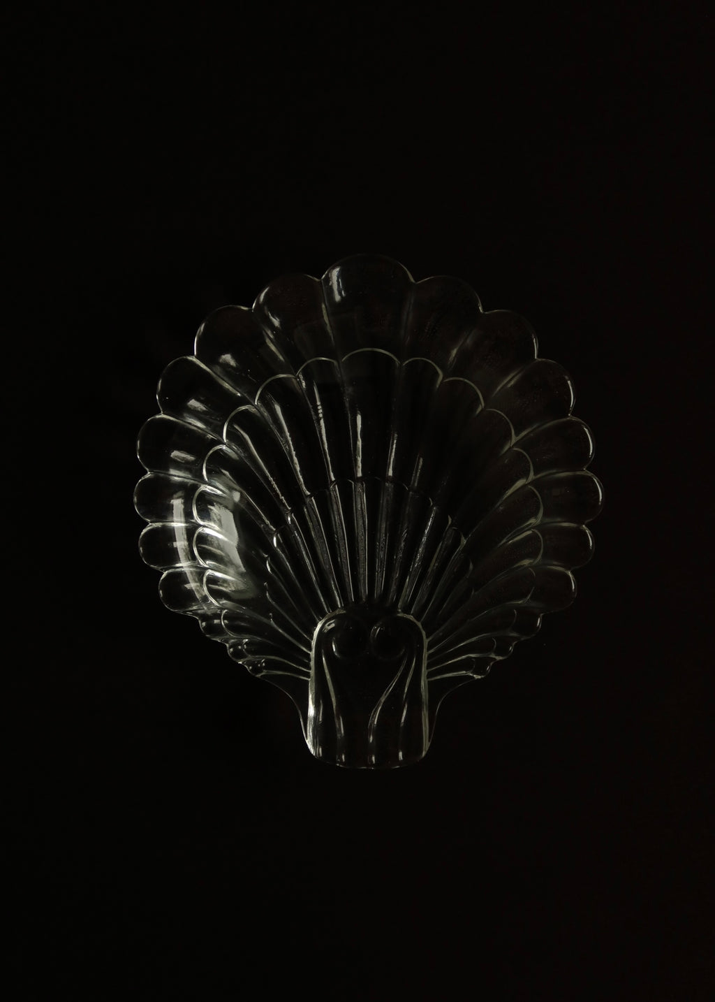 Glass Scallop Dish